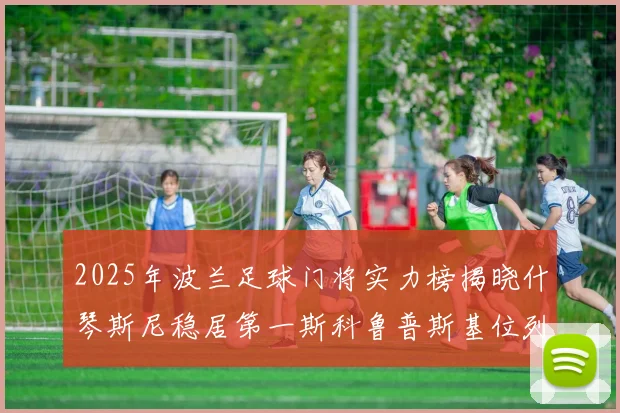 2025年波兰足球门将实力榜揭晓什琴斯尼稳居第一斯科鲁普斯基位列第三